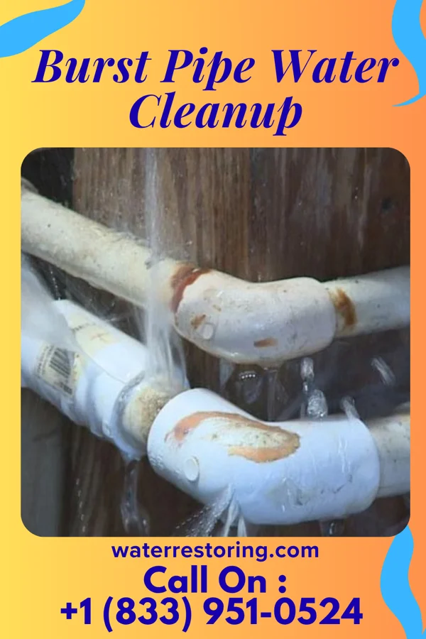 Burst Pipe Water Cleanup in Morgantown, WV