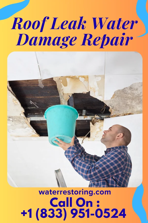 Roof Leak Water Damage Repair in Morgantown, WV
