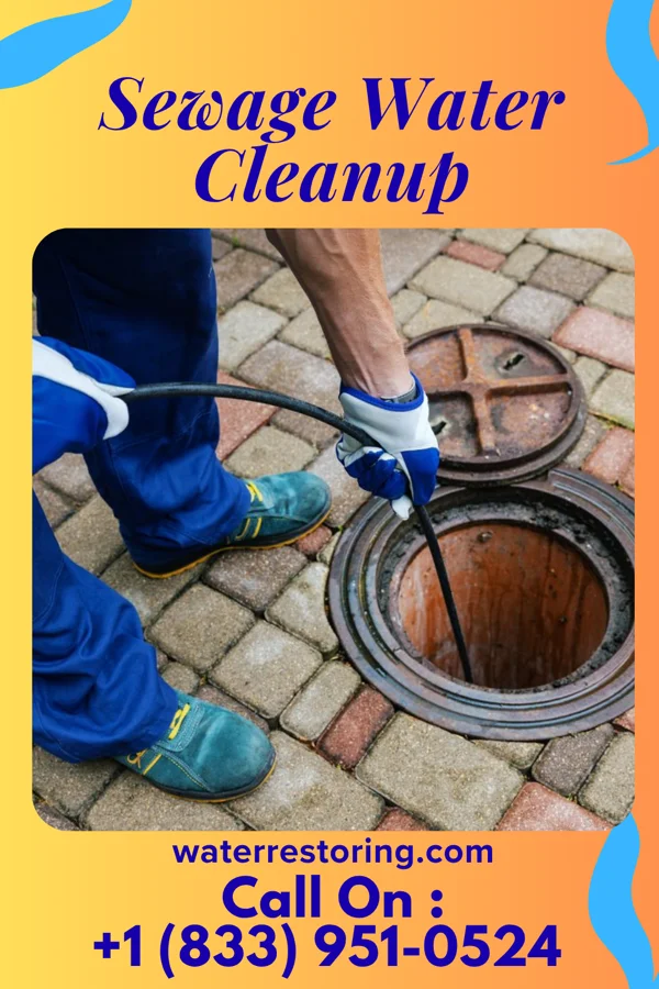 Sewage Water Cleanup in Morgantown, WV