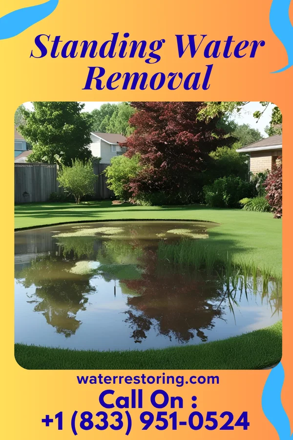 Standing Water Removal in Morgantown, WV